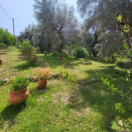 Aparthotel Dimitra