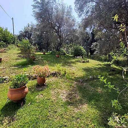 Dimitra Lejlighedshotel 3*