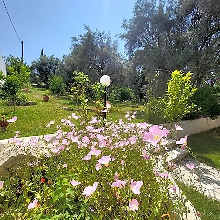 Dimitra 3*